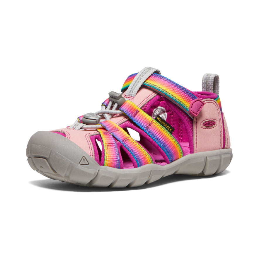 Rainbow/Festival Fuchsia